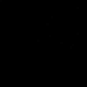 Meet your Posher, Collin